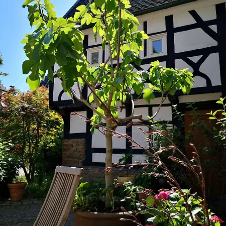 酒店 Fuenf Giebel Eck In Der Freiheit Am Ruhrtalradweg 韦特